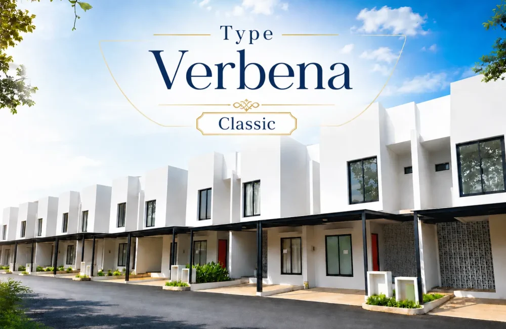 verbena classic new