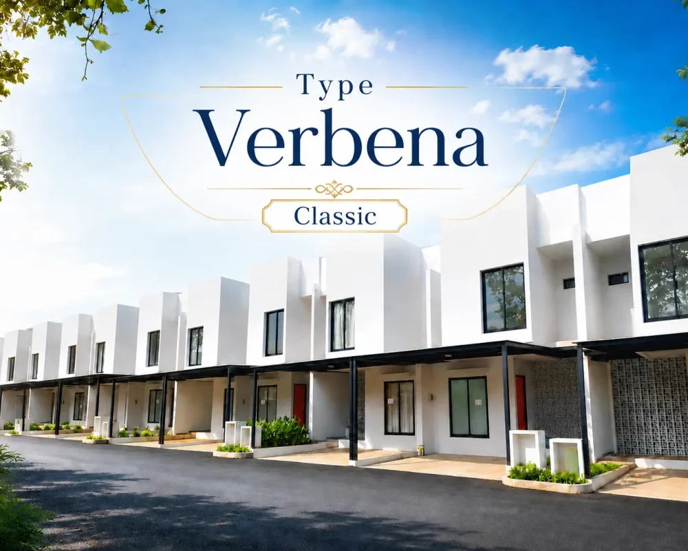 verbena classic new
